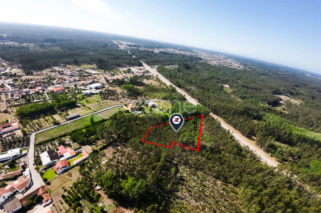 Terreno para Venda em Cantanhede e Pocariça Foto 4