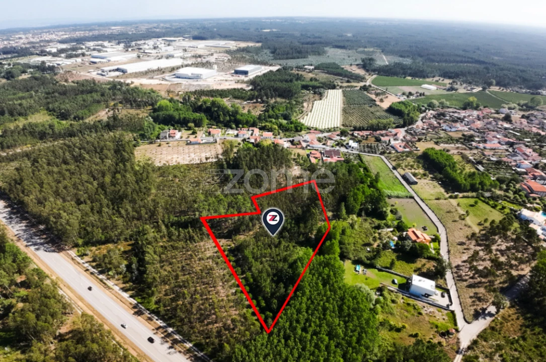 Terreno para Venda em Cantanhede e Pocariça Foto 5