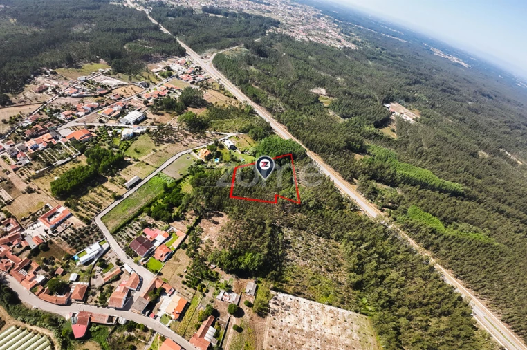 Terreno para Venda em Cantanhede e Pocariça Foto 3