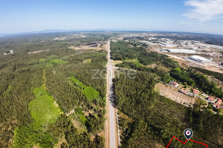 Terreno para Venda em Cantanhede e Pocariça Foto 9