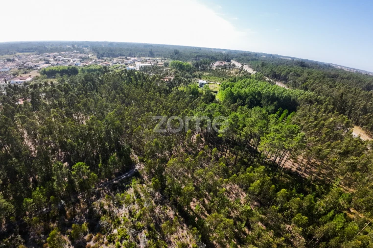 Terreno para Venda em Cantanhede e Pocariça Foto 7