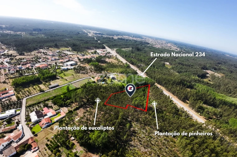 Terreno para Venda em Cantanhede e Pocariça Foto 2