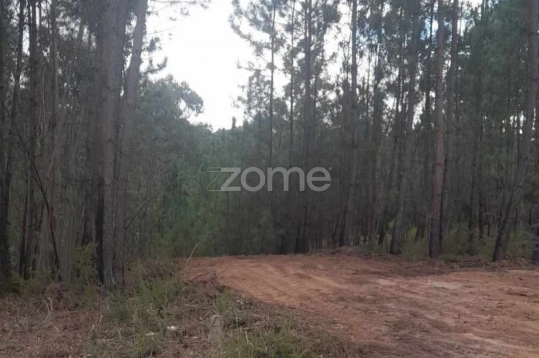 Terreno para Venda em Vermoil Foto 13