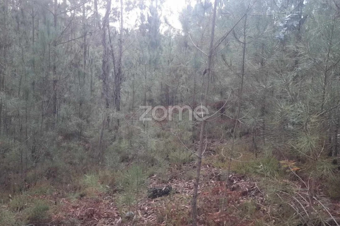 Terreno para Venda em Vermoil Foto 2