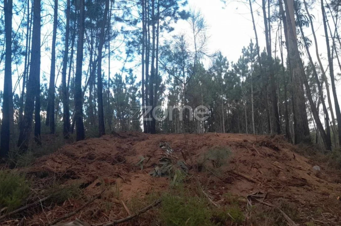 Terreno para Venda em Vermoil Foto 16