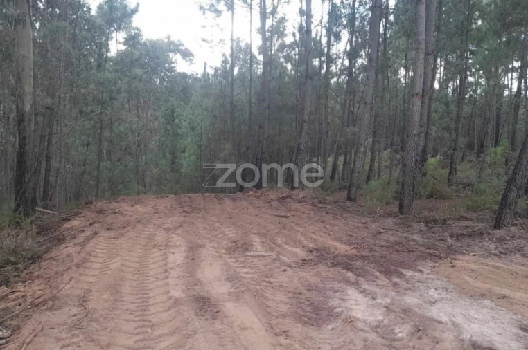 Terreno para Venda em Vermoil Foto 9