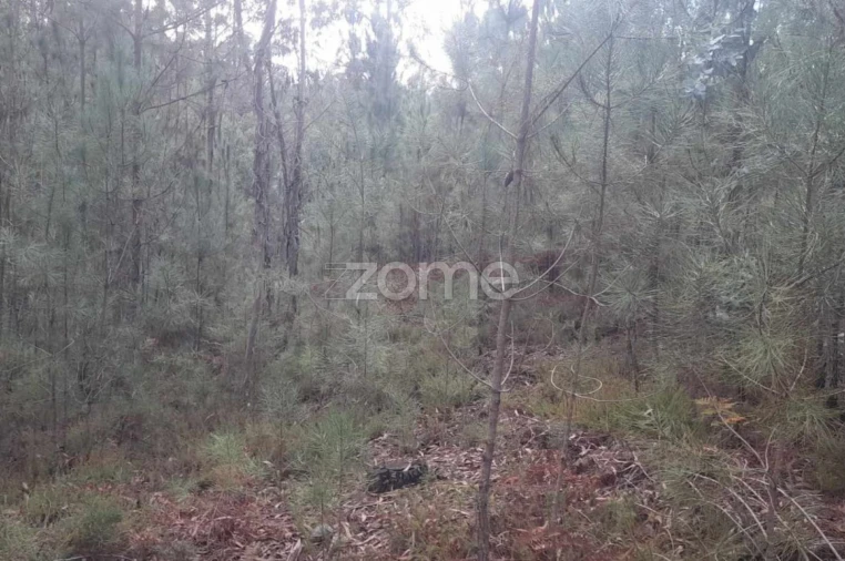 Terreno para Venda em Vermoil Foto 2