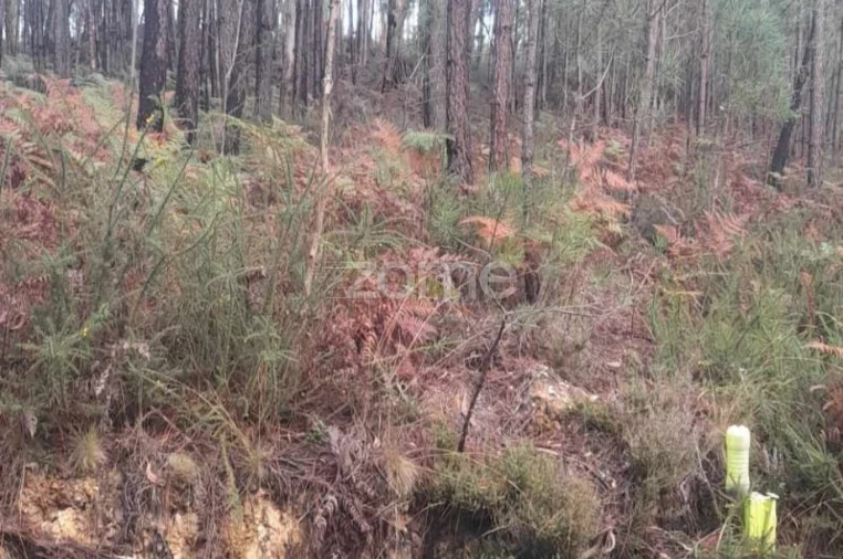 Terreno para Venda em Vermoil Foto 15