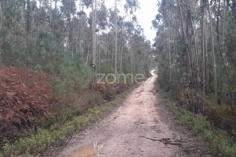 Terreno para Venda em Vermoil Foto 17