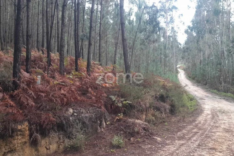 Terreno para Venda em Vermoil Foto 10