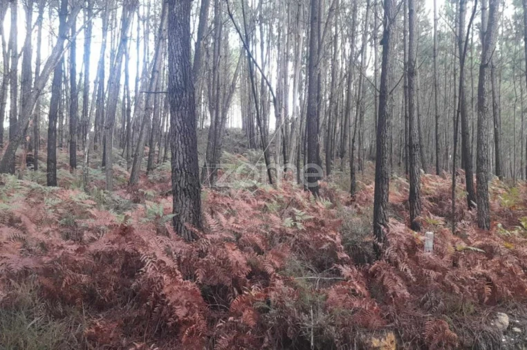 Terreno para Venda em Vermoil Foto 8