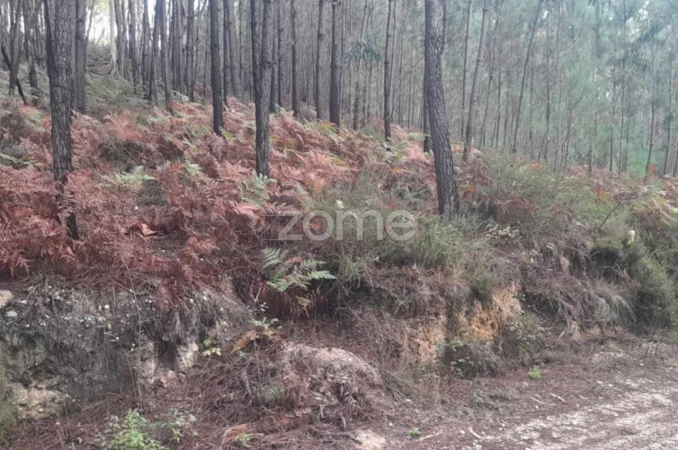 Terreno para Venda em Vermoil Foto 11