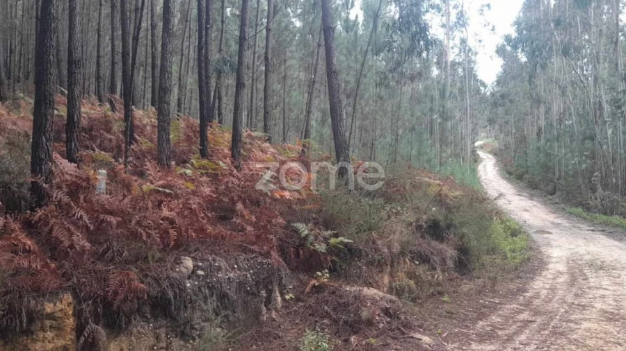 Terreno para Venda em Vermoil