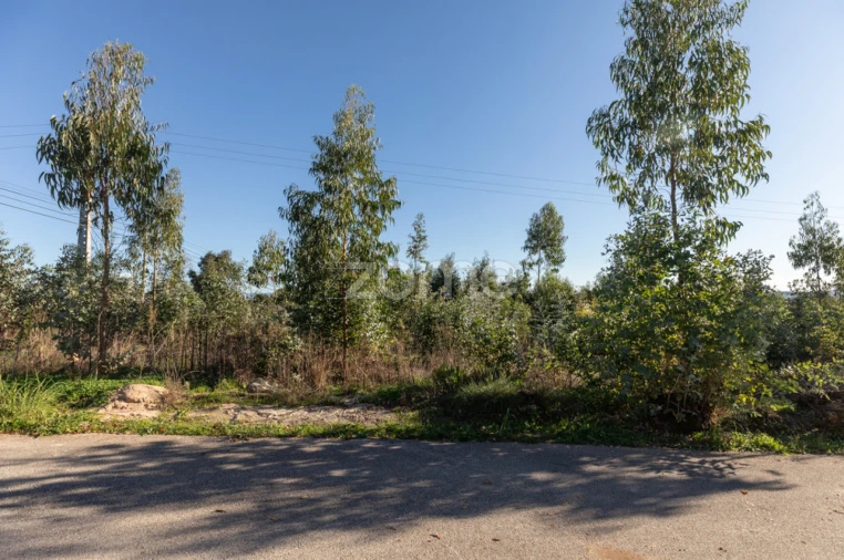 Terreno para Venda em Antuzede e Vil de Matos Foto 2