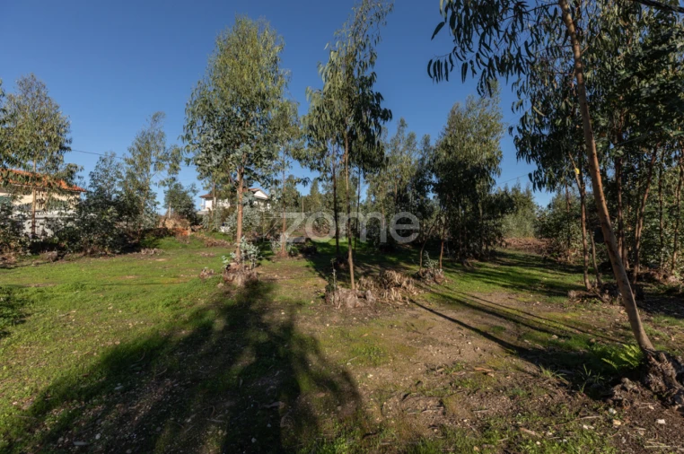 Terreno para Venda em Antuzede e Vil de Matos Foto 9
