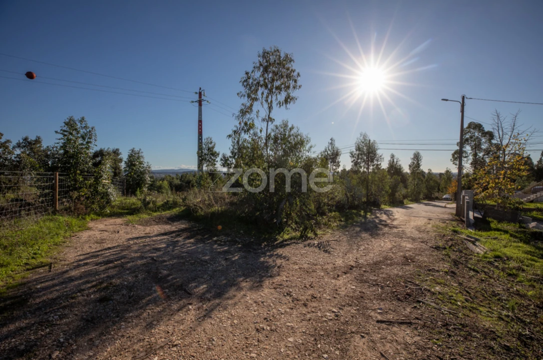Terreno para Venda em Antuzede e Vil de Matos Foto 1