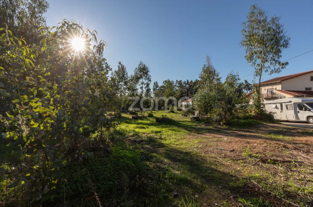 Terreno para Venda em Antuzede e Vil de Matos Foto 6
