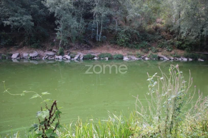 Terreno para Venda em São João de Lourosa