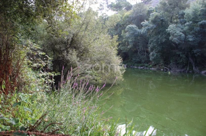 Terreno para Venda em São João de Lourosa