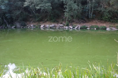 Terreno para Venda em São João de Lourosa