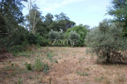 Terreno para Venda em São João de Lourosa