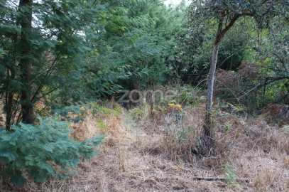 Terreno para Venda em São João de Lourosa