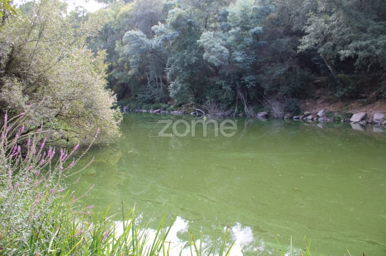 Terreno para Venda em São João de Lourosa Foto 9