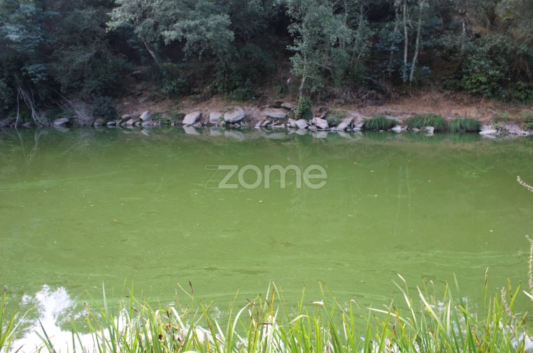 Terreno para Venda em São João de Lourosa Foto 14