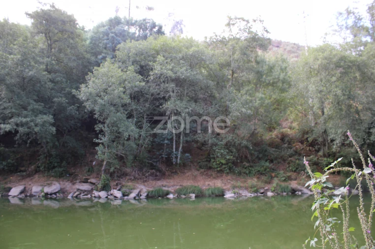 Terreno para Venda em São João de Lourosa Foto 10