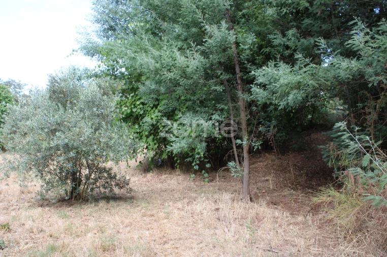 Terreno para Venda em São João de Lourosa Foto 17