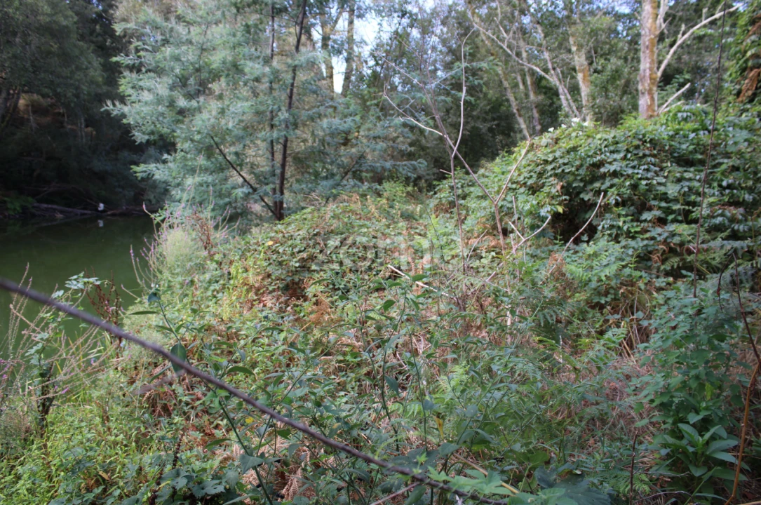Terreno para Venda em São João de Lourosa Foto 7