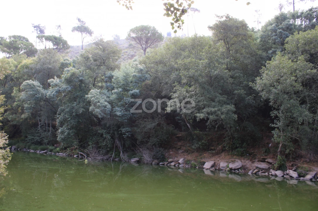 Terreno para Venda em São João de Lourosa Foto 13