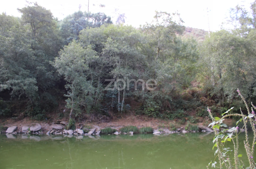 Terreno para Venda em São João de Lourosa Foto 10