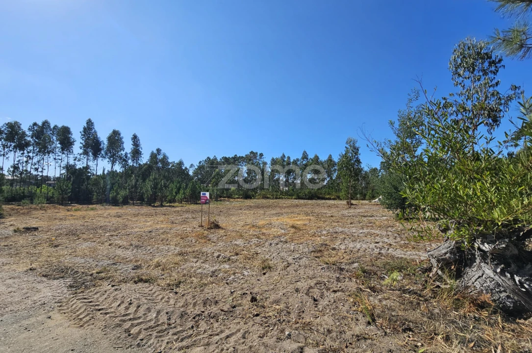 Terreno para Venda em Cantanhede e Pocariça Foto 7