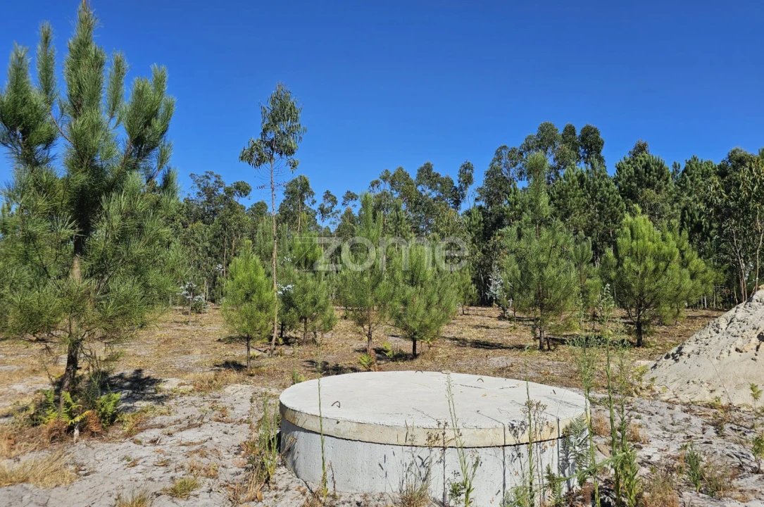Terreno para Venda em Cantanhede e Pocariça Foto 13
