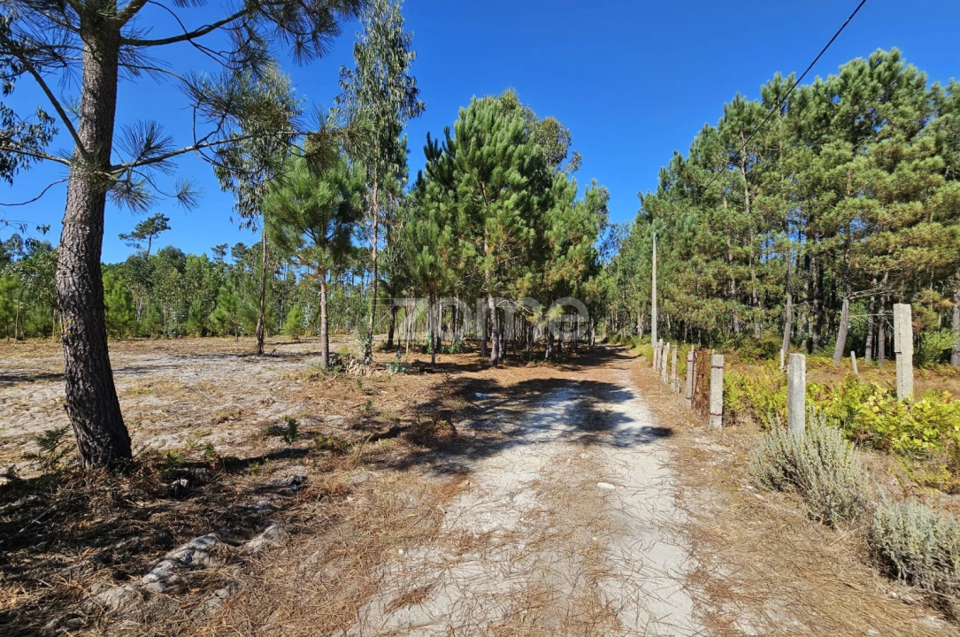 Terreno para Venda em Cantanhede e Pocariça Foto 20