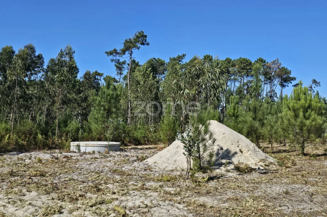 Terreno para Venda em Cantanhede e Pocariça Foto 12