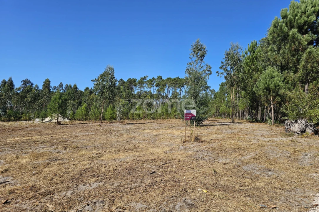 Terreno para Venda em Cantanhede e Pocariça Foto 11