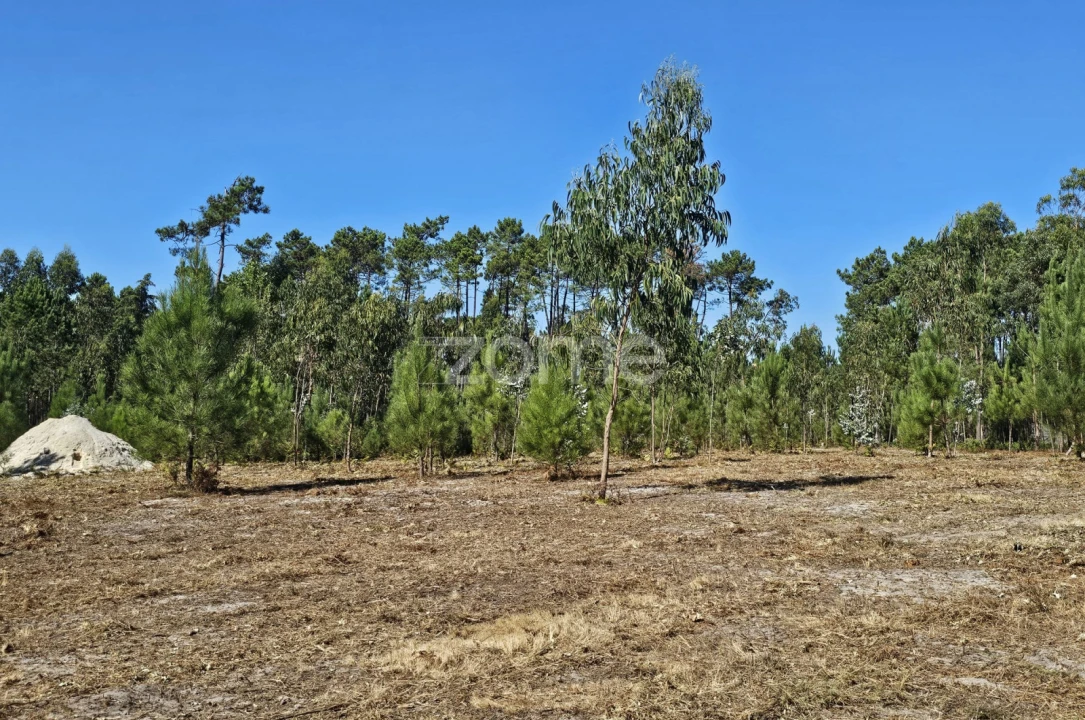 Terreno para Venda em Cantanhede e Pocariça Foto 10
