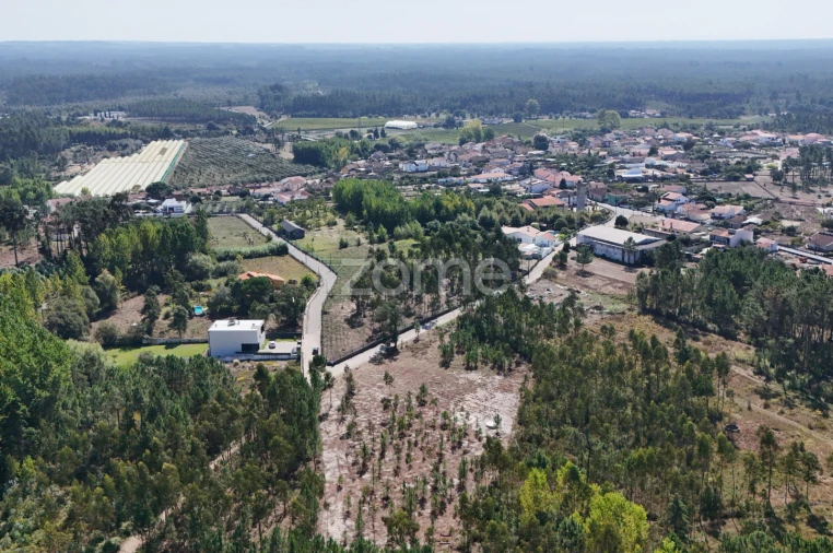 Terreno para Venda em Cantanhede e Pocariça Foto 4