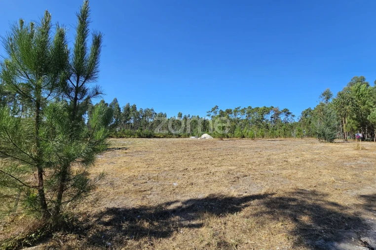 Terreno para Venda em Cantanhede e Pocariça Foto 1
