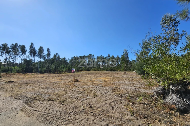 Terreno para Venda em Cantanhede e Pocariça Foto 7