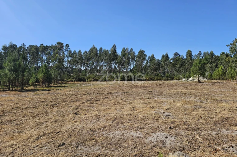 Terreno para Venda em Cantanhede e Pocariça Foto 8