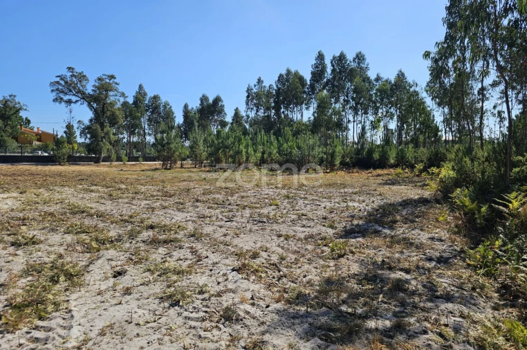 Terreno para Venda em Cantanhede e Pocariça Foto 9