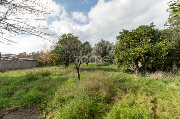 Moradia T5 para Venda em Cantanhede e Pocariça Foto 21