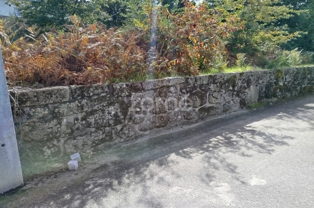 Terreno para Venda em Vilar de Besteiros e Mosteiro de Fráguas Foto 21