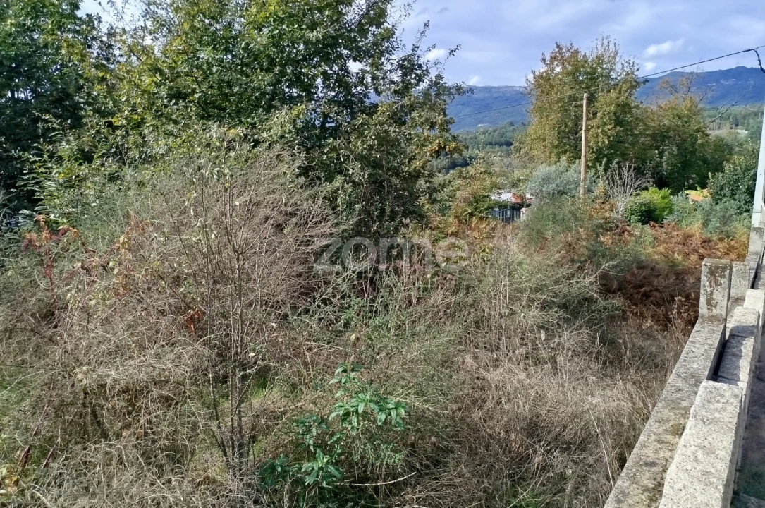 Terreno para Venda em Vilar de Besteiros e Mosteiro de Fráguas Foto 27
