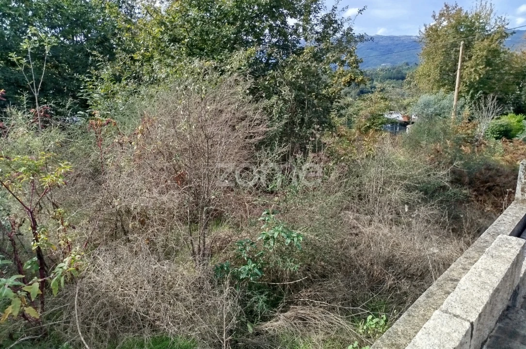 Terreno para Venda em Vilar de Besteiros e Mosteiro de Fráguas Foto 29