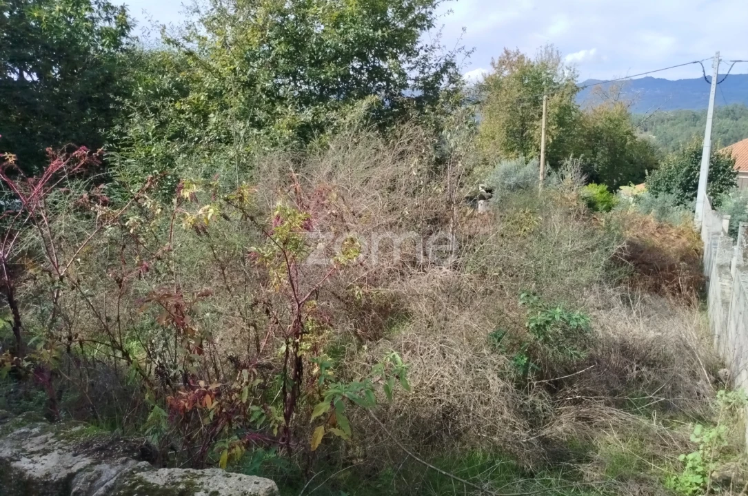 Terreno para Venda em Vilar de Besteiros e Mosteiro de Fráguas Foto 14