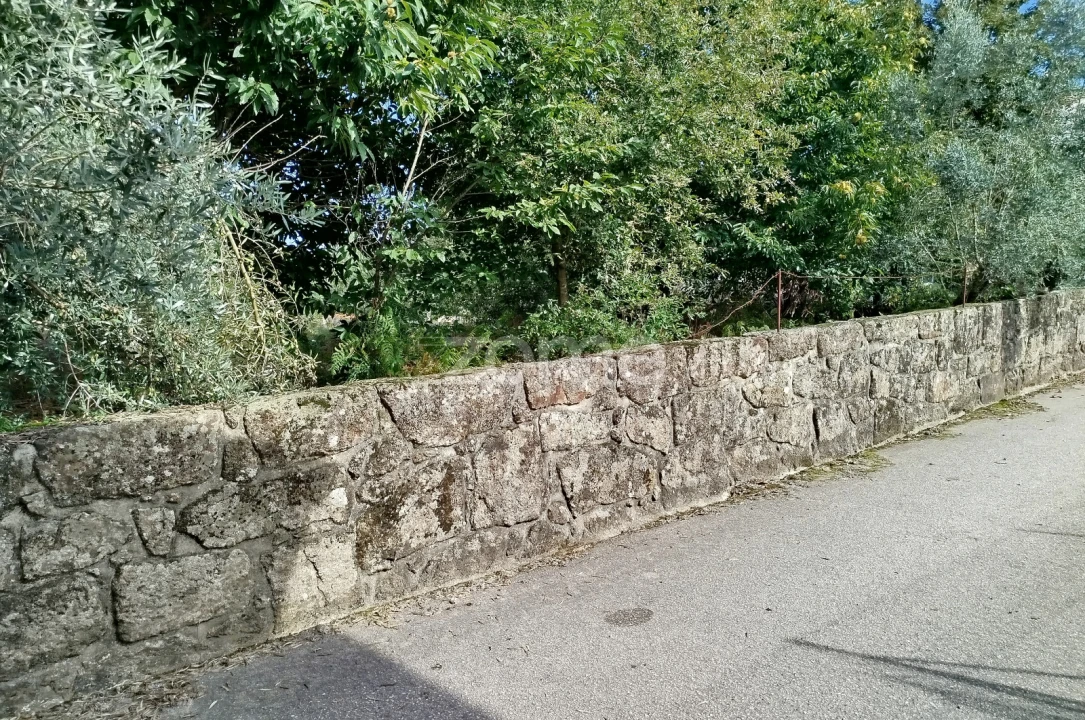 Terreno para Venda em Vilar de Besteiros e Mosteiro de Fráguas Foto 8